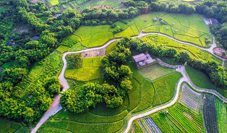 從化農(nóng)耕田緣休閑農(nóng)業(yè)、旅游信息化建設項目
